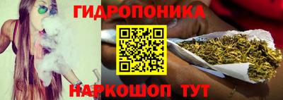 хмурый Малоярославец