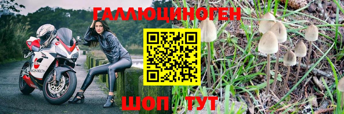 Галлюциногенные грибы GOLDEN TEACHER Учалы