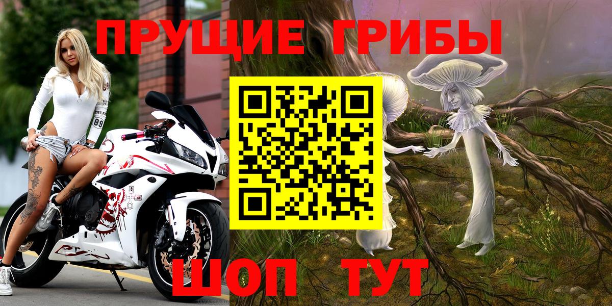 купить наркотики сайты  Псилоцибиновые грибы Cubensis  Учалы  Вход с VPN  Галлюциногенные грибы ЛСД 